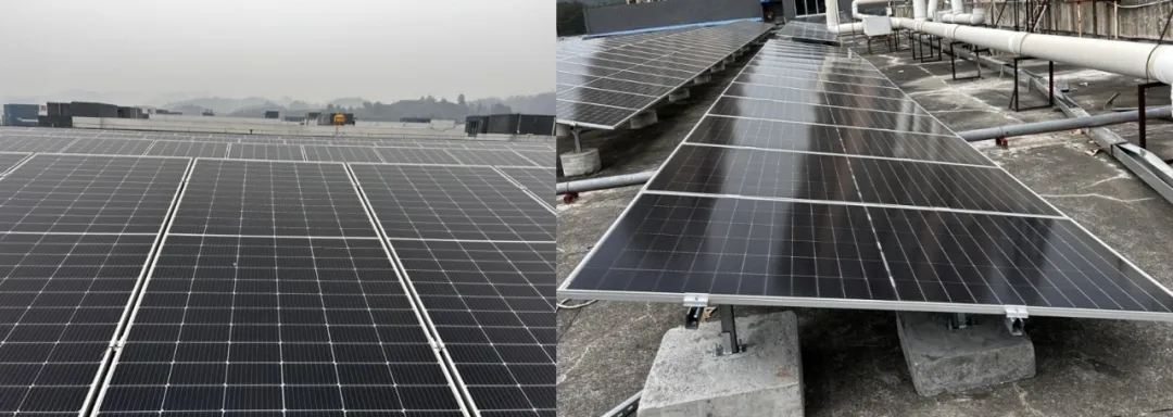 1756094275630208.jpg 640_看圖王.jpg